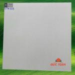 Đá đồng chất VIGLACERA 60x60 TSTM 601