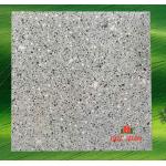 Gạch terrazzo 60x60  KS60421