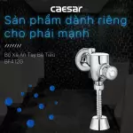 Van xả tiểu nam nhấn tay Caesar BF412G
