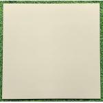 Đá đồng chất Trung Đô 800x800 mm MD8800