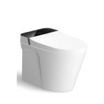 Bàn cầu thông minh Viglacera V882F