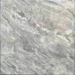 Gạch men bóng 600x600 TTC VB 66016