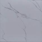 Gạch men bóng 600x600 TTC VB 66018