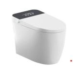 Bàn cầu thông minh Kassani X130DCV