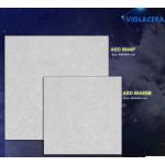 Gạch đá  mờ  Viglacera ASD 6644SM