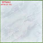 Gạch men 40x40 Trung Nguyên TPN042