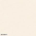 Gạch đá  mờ  60x60 Viglacera DA2 6604