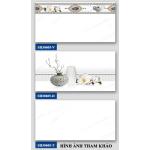 Gạch ốp tường Hà Thanh 30x60 bộ SH30605V