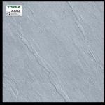 Gạch TOPISA 30x60 A3032