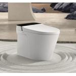 Bàn cầu thông minh Viglacera V882F