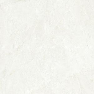 Gạch đồng tâm 1mx1m  100DONGVAN002-FP-H+