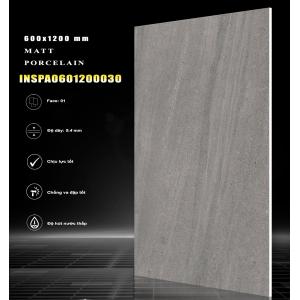 Gạch Ấn Độ 600x1200 mm INSPA0601200030