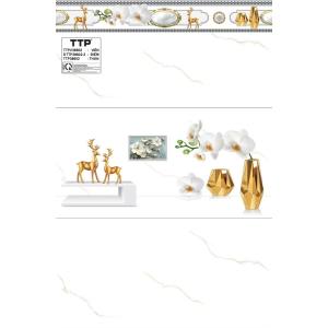 Gạch TTP bóng kính 300X600 bộ 38602