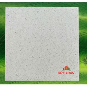 Gạch terrazzo 60x60  KS60415