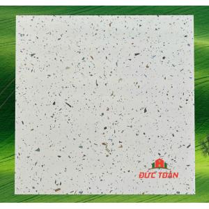 Gạch terrazzo 60x60  KS60430