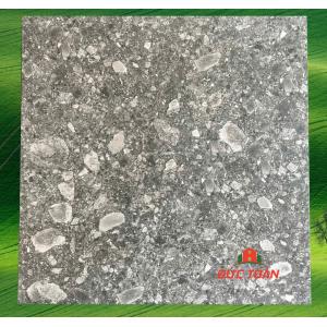 Gạch terrazzo 60x60  KS60450C