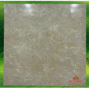 Gạch men bóng 600x600 TTC 66010