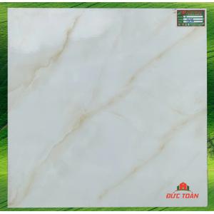 Gạch men bóng 600x600 TTC 66022