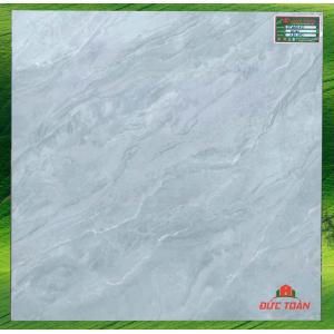 Gạch men bóng 600x600 TTC 66040