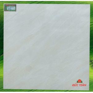 Gạch men bóng 600x600 TTC 66041