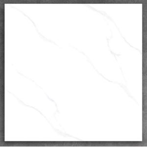 Gạch men bóng PAK 600x600 K6605