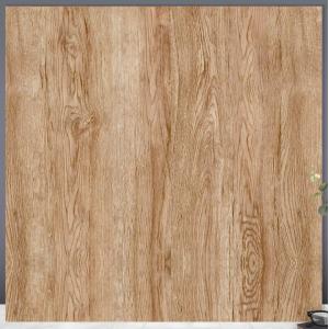 Gạch men mờ vân gỗ 600x600 TTC CM 66203