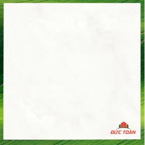 Đá đồng chất bóng kính Trung Quốc 800x800 A826