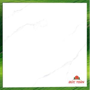 Đá đồng chất bóng kính Trung Quốc 800x800 AM8661