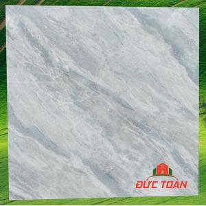 Gạch Hà Thanh 80x80 TTV 88010