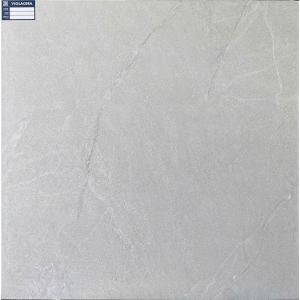 Đá mờ Viglacera 800x800 ASD 8843P