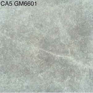Gạch đá  mờ  Viglacera UNITED CA5 GM6601