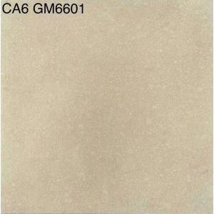 Gạch đá  mờ  Viglacera UNITED CA6 GM6601