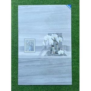 ĐÁ ỐP TƯỜNG 40X80  BÓNG VIGLACERA CLGP4809