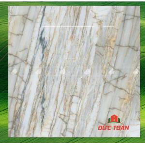 Gạch đồng tâm 1mx1m  100DONGVAN005-FP-H+