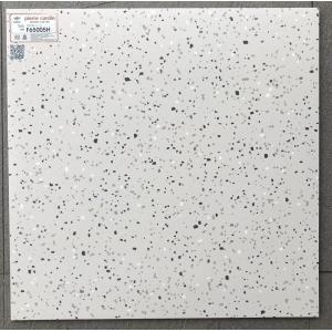 Gạch terrazzo 60x60 F65005H