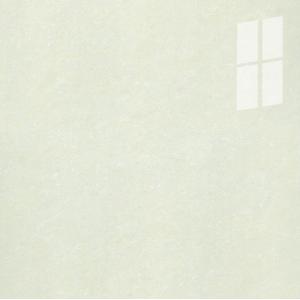 Đá bóng kính 2 da xà cừ Taicera P87703N