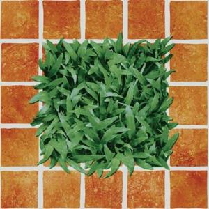 Gạch Đồng Tâm 400x400 sân vườn 4040CLG002