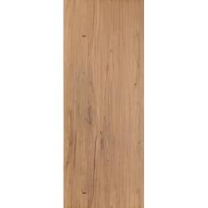 Cửa nhựa Composite KOSS DOOR K06-00