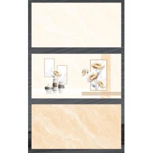 Đá bóng kiếng 30x60 TASA SATINO bộ 7209