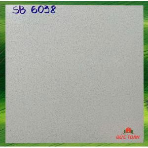 Đá đồng chất Thanh Thanh 600x600 mm SB 6038