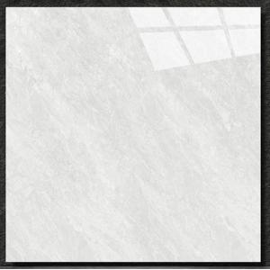 Gạch Đá Bóng kính 600x600 VIDONA TP6019