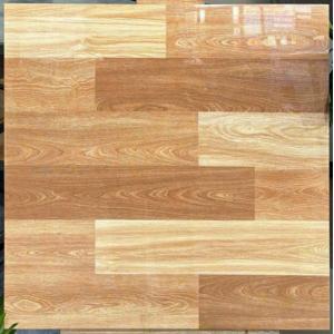 Gạch Đá Bóng kính Hà Thanh TTV66005D