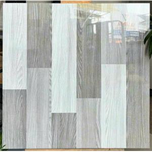 Gạch Đá Bóng kính Hà Thanh TTV66006D