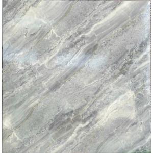 Gạch men bóng 600x600 TTC VB 66019