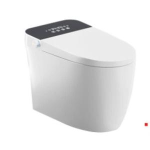 Bàn cầu thông minh Kassani X130DCV