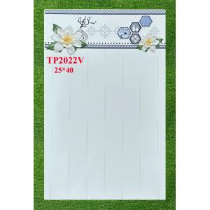 Gạch 25x40 ceradoni TP 2022V