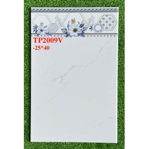 Gạch 25x40 ceradoni TP 2009V