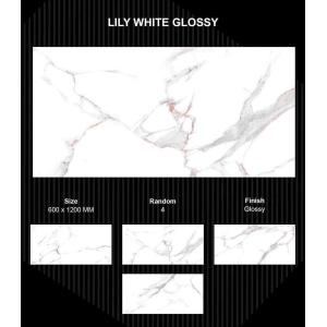 Gạch Ấn Độ 600x1200 mm LILY WHITE GLOSSY