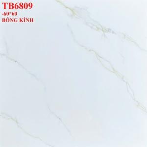 Đá bóng kiếng 600x600 VIGLACERA TB6809