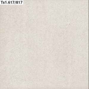 Đá bóng kính 2 da Viglacera TS1- 617